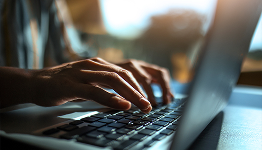 Person on a laptop using AutoVision for merchandising